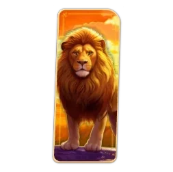 Lion
Safari